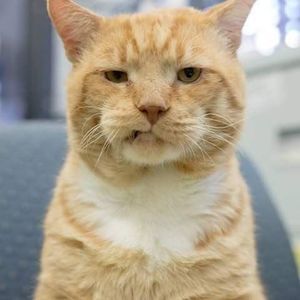 Meet your Posher, Scott